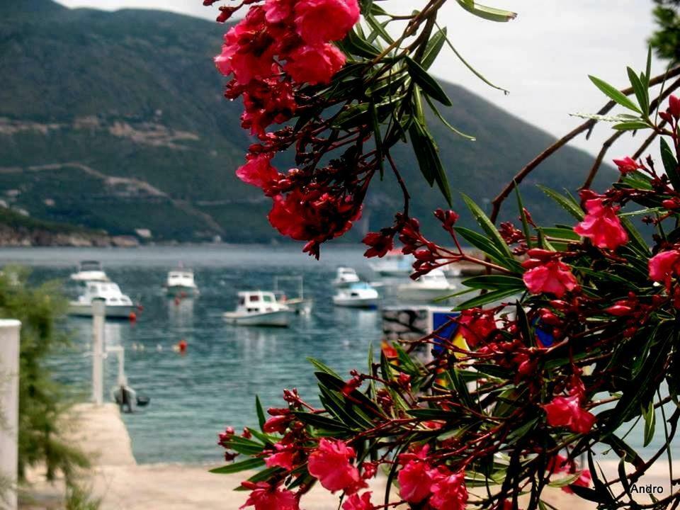 Apartments Luki Τρογκίρ Εξωτερικό φωτογραφία